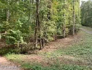 tbd Walnut Hills Cir, Crumpler, NC 28617 photo 3