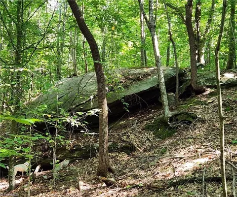00 Grassy Knob Rd #47, Pilot Mountain, NC 27041