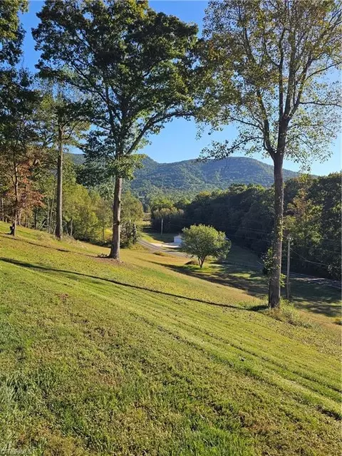 Other - 158 Martha Lowe Rd, Lowgap, NC 27024 photo 10 of 13