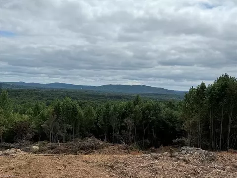 0 Woodfield Dr, Sophia, NC 27350