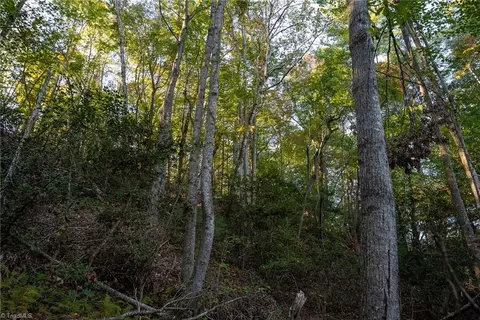 00 Shell Creek Rd, Ferguson, NC 28624 photo 24