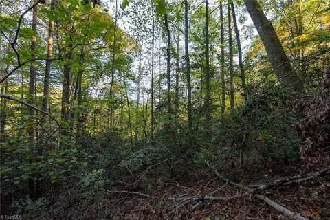00 Shell Creek Rd, Ferguson, NC 28624 photo 25