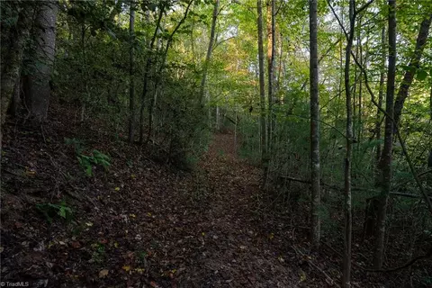 00 Shell Creek Rd, Ferguson, NC 28624 photo 27