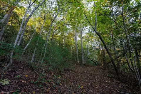 00 Shell Creek Rd, Ferguson, NC 28624 photo 19