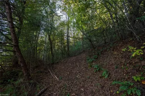00 Shell Creek Rd, Ferguson, NC 28624 photo 17