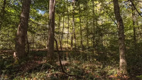 00 Shell Creek Rd, Ferguson, NC 28624 photo 28