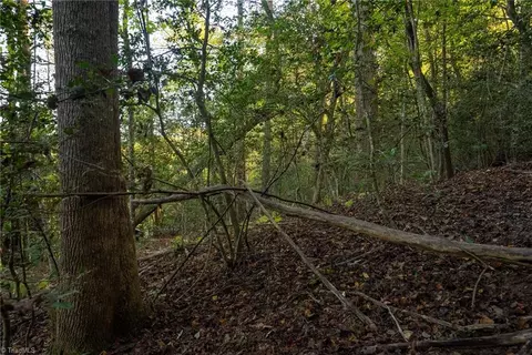 00 Shell Creek Rd, Ferguson, NC 28624 photo 21