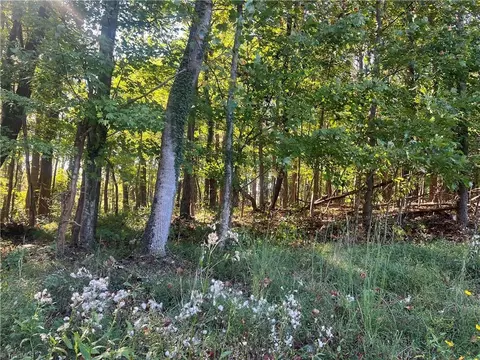 tbd Golf Course Rd, Pilot Mountain, NC 27041