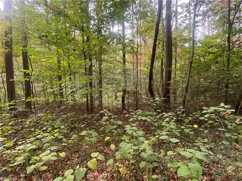 00 Bear Hollow Ln, North Wilkesboro, NC 28659
