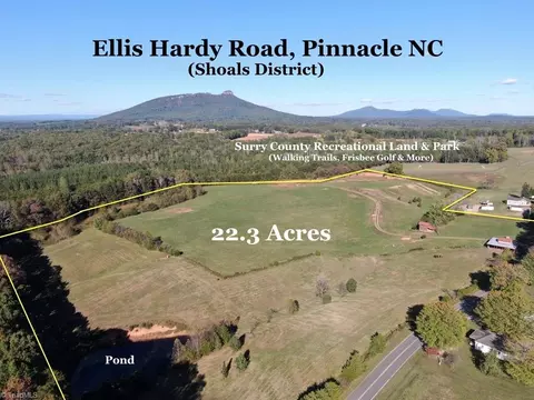 481 Ellis Hardy Rd #22.3 AC, Pinnacle, NC