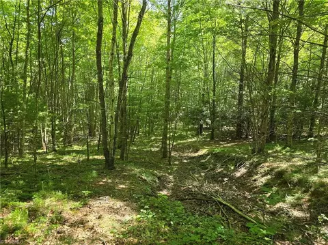 tbd 50 Deer Spring Ln, West Jefferson, NC 28694