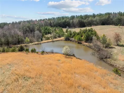 20 Acres Hauser Rd, Pinnacle, NC 27043 photo 13