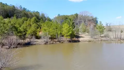 20 Acres Hauser Rd, Pinnacle, NC 27043 photo 9