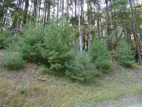 tbd Woodlands Dr, Piney Creek, NC 28663