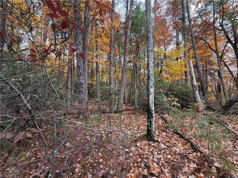 lot18 Wolf Pen Rd, Purlear, NC 28665 photo 8