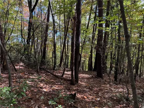 lot18 Wolf Pen Rd, Purlear, NC 28665 photo 6