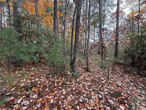 lot18 Wolf Pen Rd, Purlear, NC 28665 photo 9