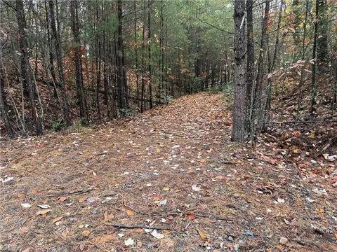 lot18 Wolf Pen Rd, Purlear, NC 28665 photo 10