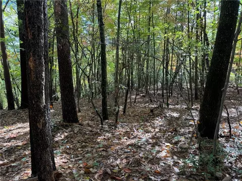 lot18 Wolf Pen Rd, Purlear, NC 28665 photo 7