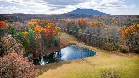 View/Area - 950 Dodson Mill Rd, Pilot Mountain, NC 27041 photo 2 of 6