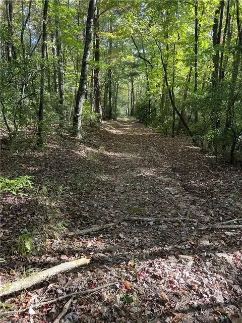 0000 Royall Rd, Thurmond, NC 28683 photo 4