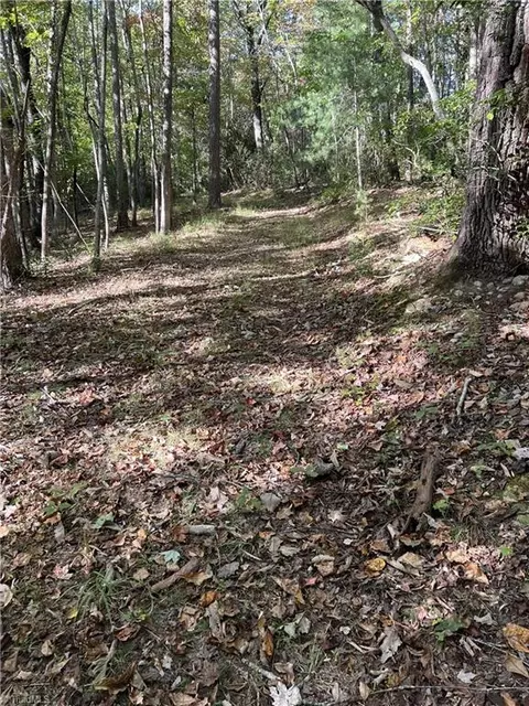0000 Royall Rd, Thurmond, NC 28683 photo 3