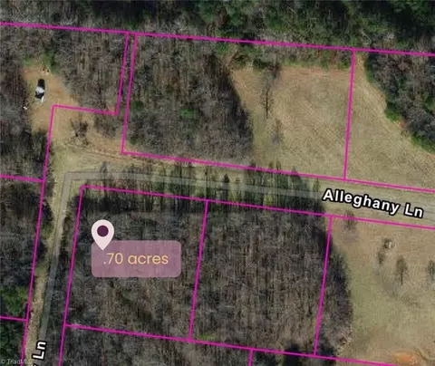9076 Alleghany Ln, Pilot Mountain, NC 27041