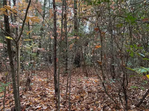 lot209 Casey Mountain Rd, Purlear, NC 28665 photo 2