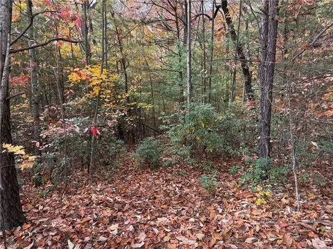 lot209 Casey Mountain Rd, Purlear, NC 28665 photo 6