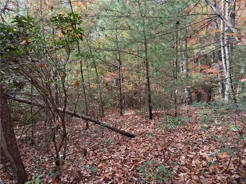 lot209 Casey Mountain Rd, Purlear, NC 28665 photo 7