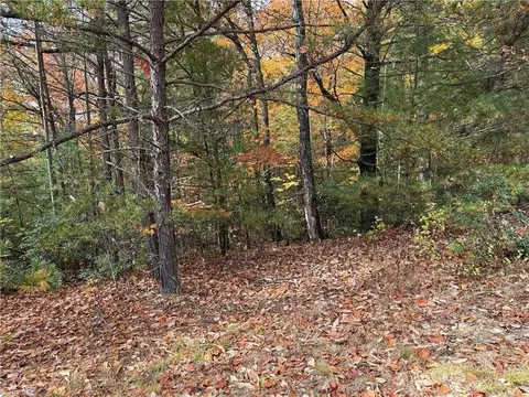 lot209 Casey Mountain Rd, Purlear, NC 28665 photo 5