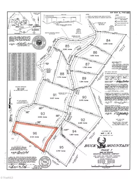 lot96 Buck Mountain Rd, Purlear, NC 28665 photo 4