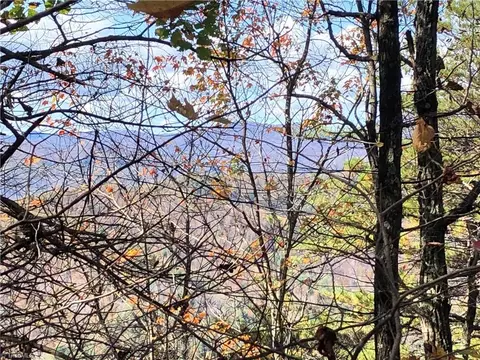 lot96 Buck Mountain Rd, Purlear, NC 28665 photo 12