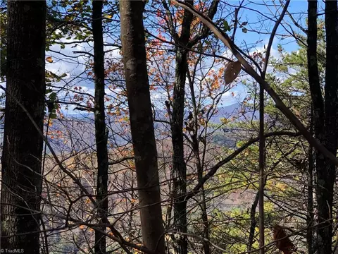 lot96 Buck Mountain Rd, Purlear, NC 28665 photo 11