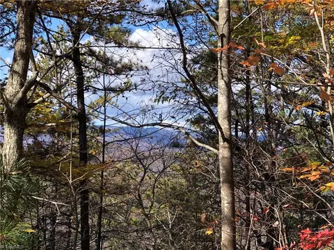lot96 Buck Mountain Rd, Purlear, NC 28665