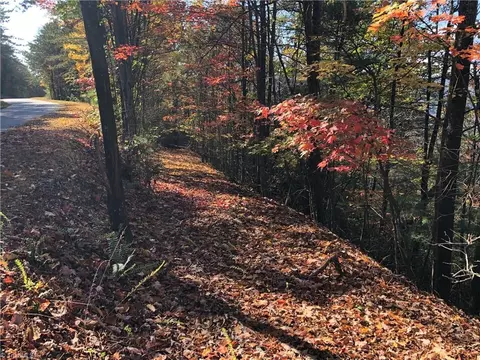 lot96 Buck Mountain Rd, Purlear, NC 28665 photo 9