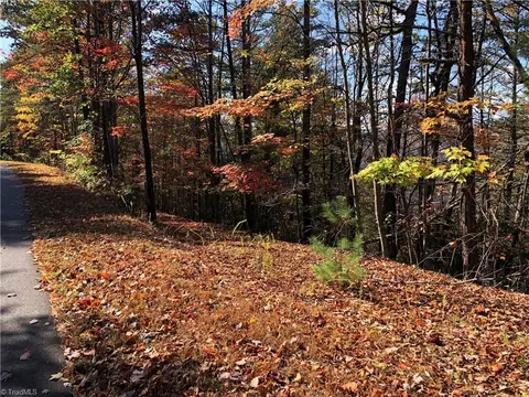 lot96 Buck Mountain Rd, Purlear, NC 28665 photo 8