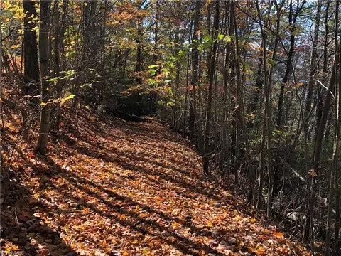 lot96 Buck Mountain Rd, Purlear, NC 28665 photo 10