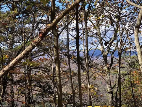 lot96 Buck Mountain Rd, Purlear, NC 28665 photo 14