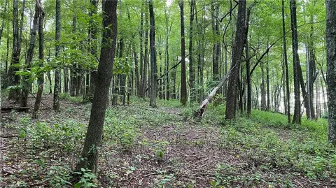 tbd Scout Rd, Lenoir, NC 28645 photo 15