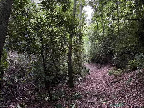 tbd Scout Rd, Lenoir, NC 28645 photo 16