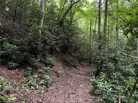 tbd Scout Rd, Lenoir, NC 28645 photo 6