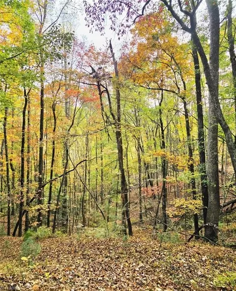 000 Rock Creek Rd, North Wilkesboro, NC 28659