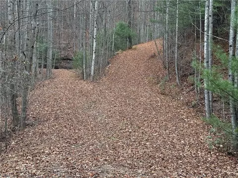 lot218 Casey Mountain Rd, Purlear, NC 28665 photo 22