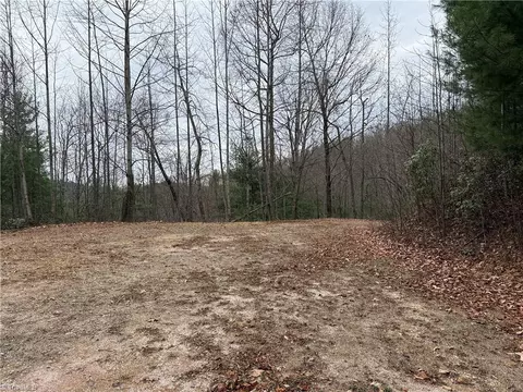 lot218 Casey Mountain Rd, Purlear, NC 28665 photo 14