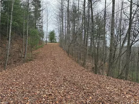 lot218 Casey Mountain Rd, Purlear, NC 28665 photo 19