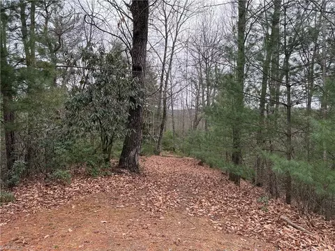 lot218 Casey Mountain Rd, Purlear, NC 28665 photo 17