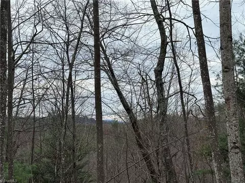 lot218 Casey Mountain Rd, Purlear, NC 28665 photo 13