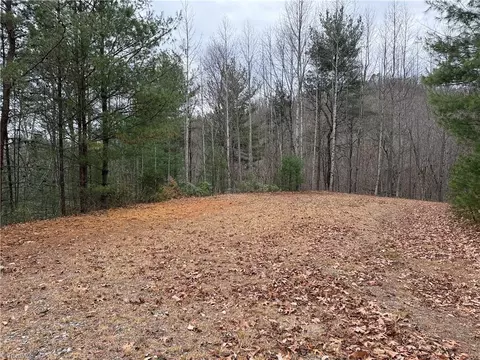 lot218 Casey Mountain Rd, Purlear, NC 28665 photo 20