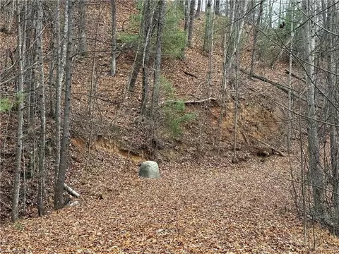 lot218 Casey Mountain Rd, Purlear, NC 28665 photo 6